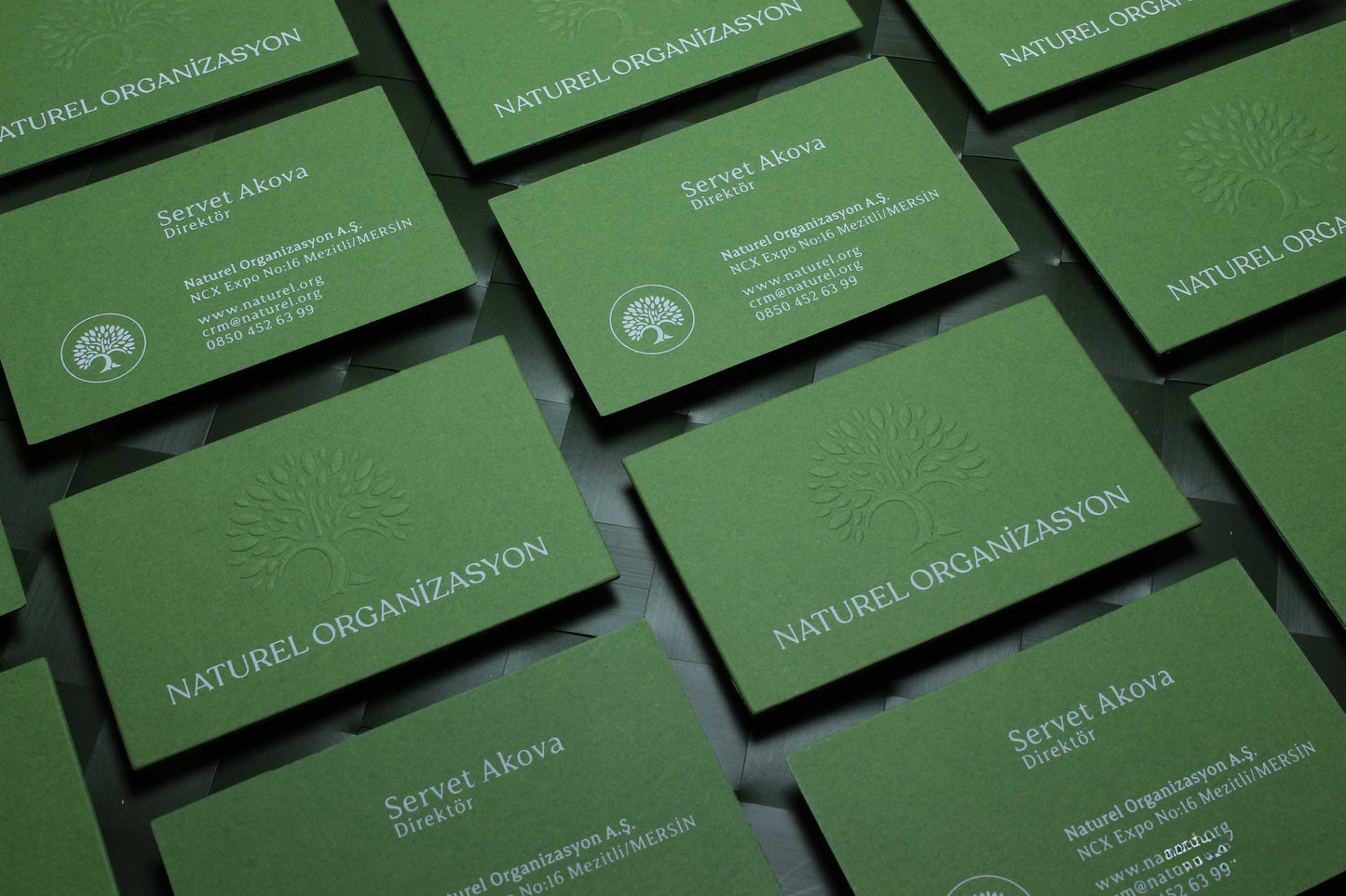 Business Cards, Fantasy Paper, Premium Business Card, Gilding Printing, Duplex Plastering, Custom Design, High Quality,