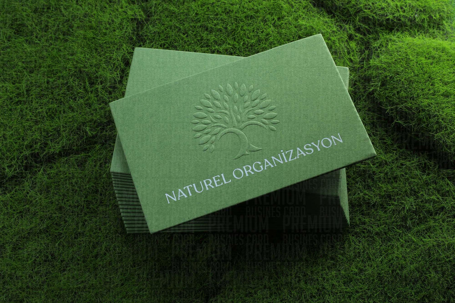 Business Cards, Fantasy Paper, Premium Business Card, Gilding Printing, Duplex Plastering, Custom Design, High Quality,