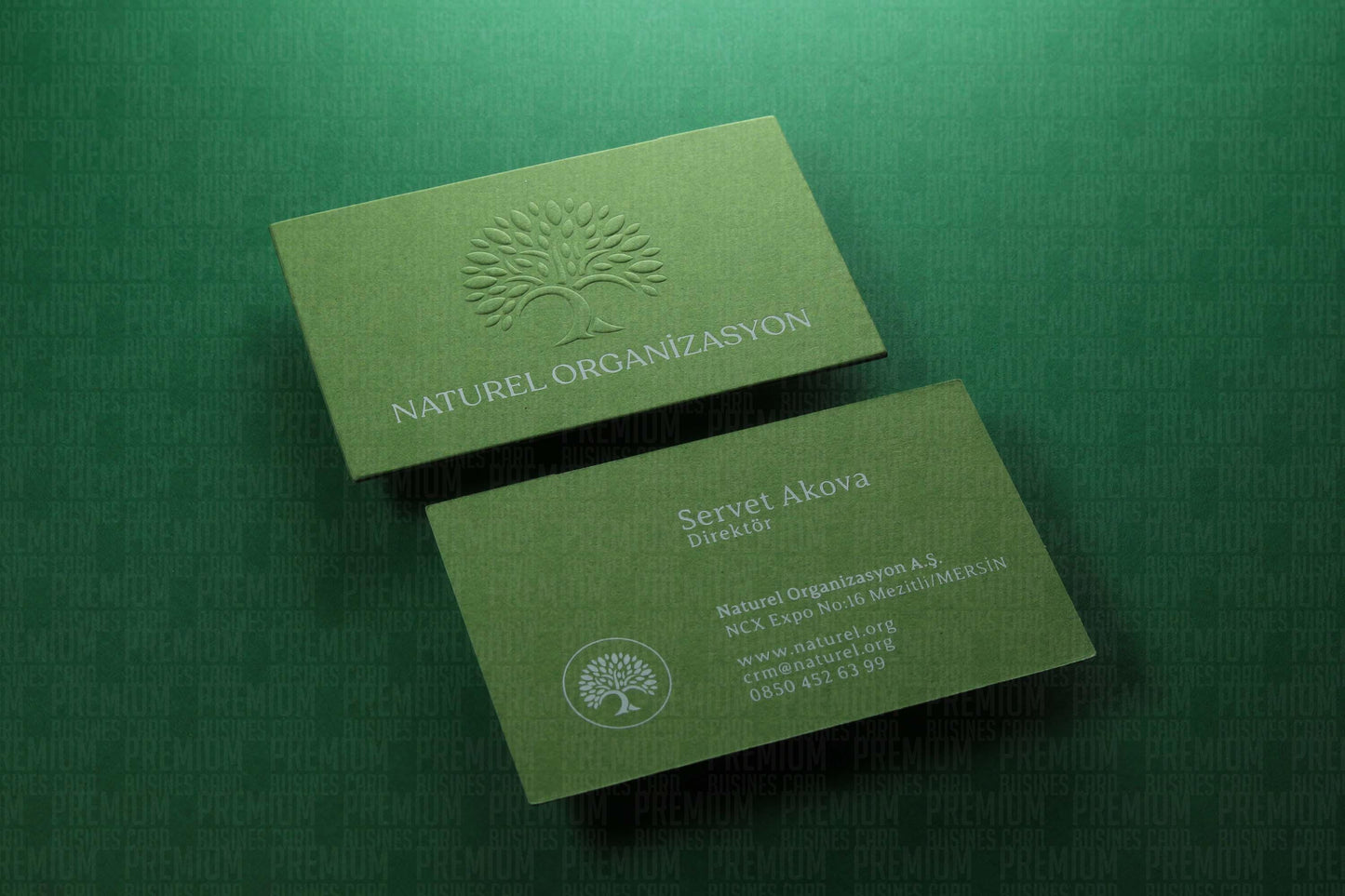 Business Cards, Fantasy Paper, Premium Business Card, Gilding Printing, Duplex Plastering, Custom Design, High Quality,
